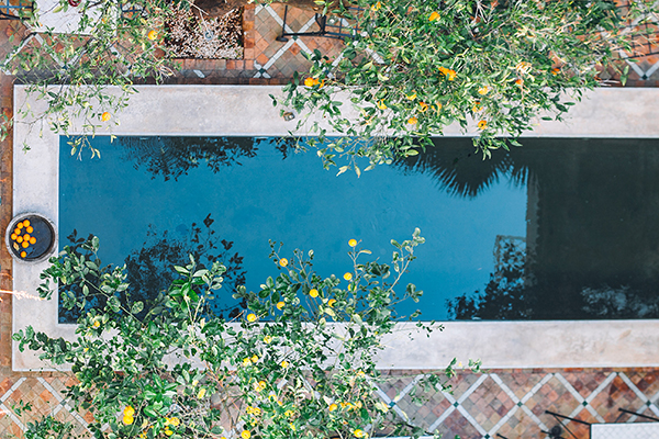 Gardener in Seville