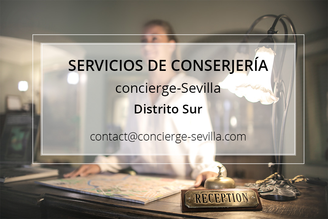 Conserjería Sevilla Distrito Sur